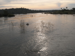 Ruhig und nichtsahnend fließt der Iguazu-Fluss