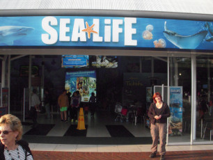 Aquarium: Sydney Sealife