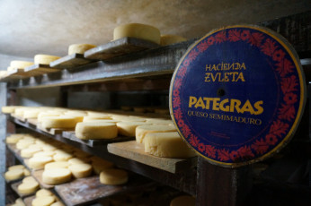 Leckerer Käse Made in Zuleta