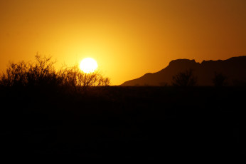 Sonnenuntergang mit Springbok
