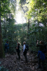 Guide Michel erklärt uns den Dschungel