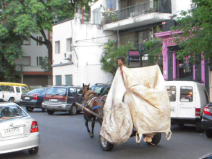 Müllsammler mit Pferdewagen
